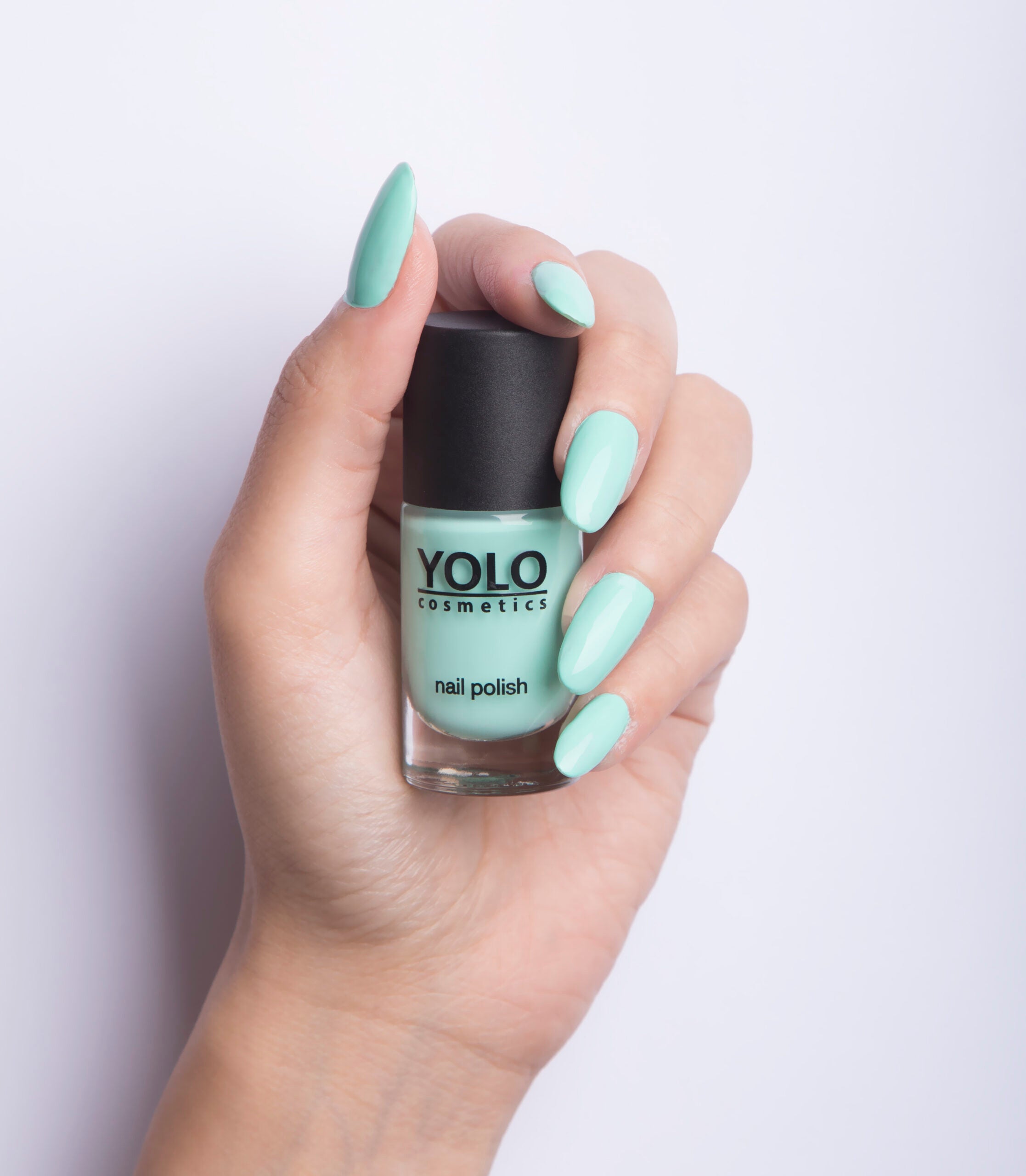 Eclador-YOLO