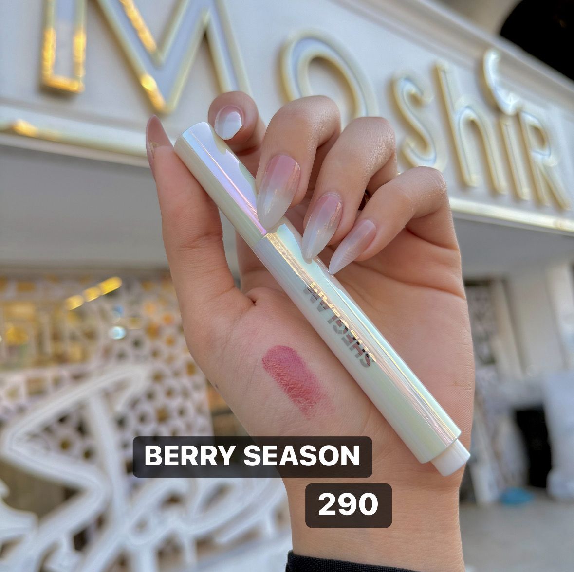 Lip Plamer Sheglam
