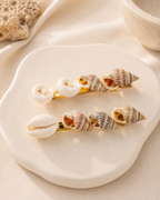 Sea Treasures
